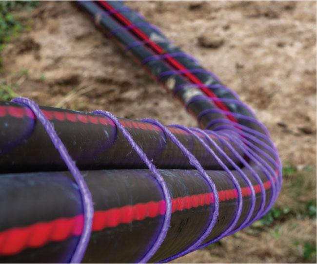 Velociwrapper Twine